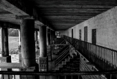 IIP Online Student Photography